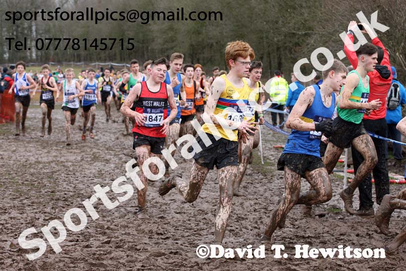 Boys under-15s 2018 British Inter Counties Cross Country Champs., Prestwold Hall, Loughborough. Photo: David T. Hewitson/Sports for All Pics